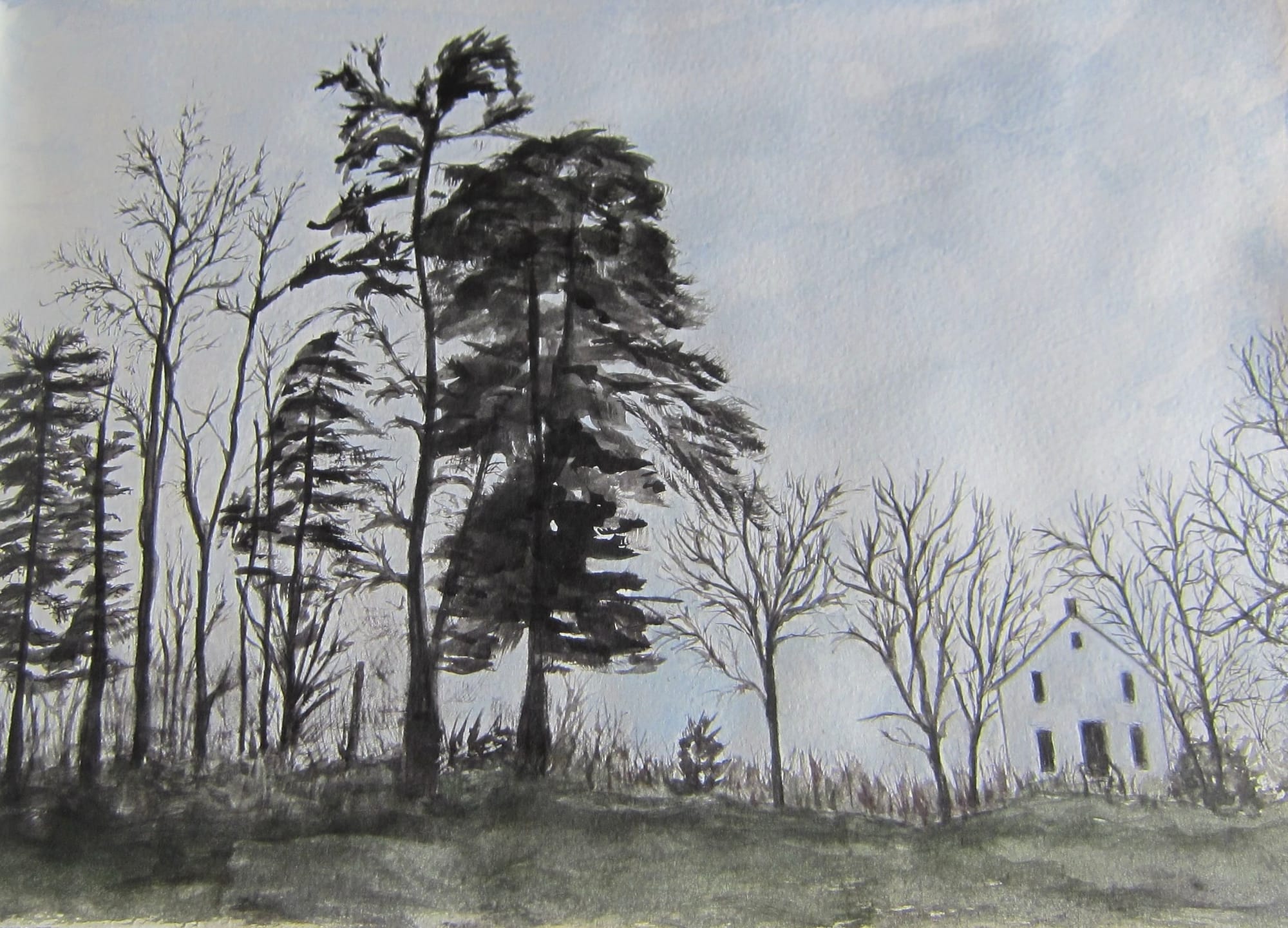 Black and white watercolor landscape of tall pine trees beside a small, distant house under a cloudy sky. The scene is serene and slightly melancholic.