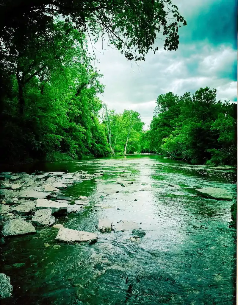 A serene river surrounded by lush green trees under a cloudy sky. Rocks partially emerge from the calm water, creating a peaceful atmosphere.