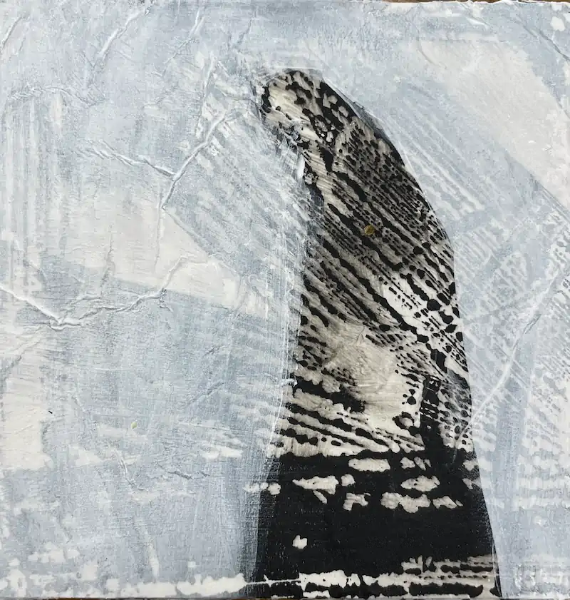 Abstract painting featuring a blurred, textured black and white shape on a light gray, textured background. The artwork conveys a mysterious, contemplative tone.