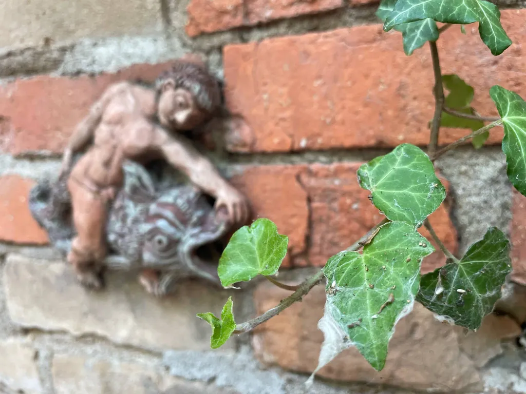 Close-up of ivy leaves against an old brick wall, partially covering a weathered decorative sculpture of a cherub on a fish, evoking a serene, timeless feel.