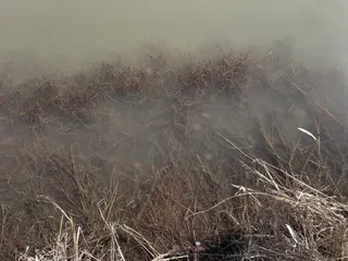 The OrphanAGE, Vol. 1.06